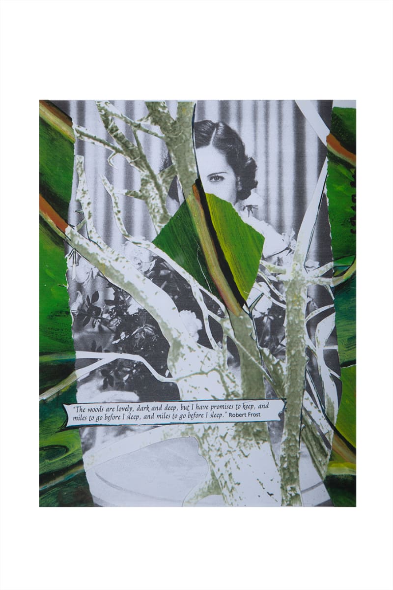 Fragments #2: Robert Frost by CORCORAN 