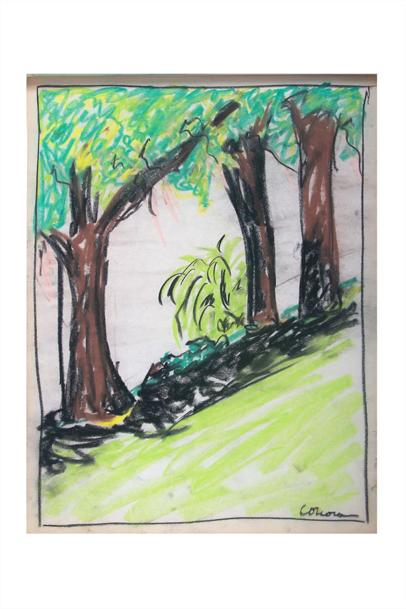 Savannah Park Row of Mossy Trees by CORCORAN 