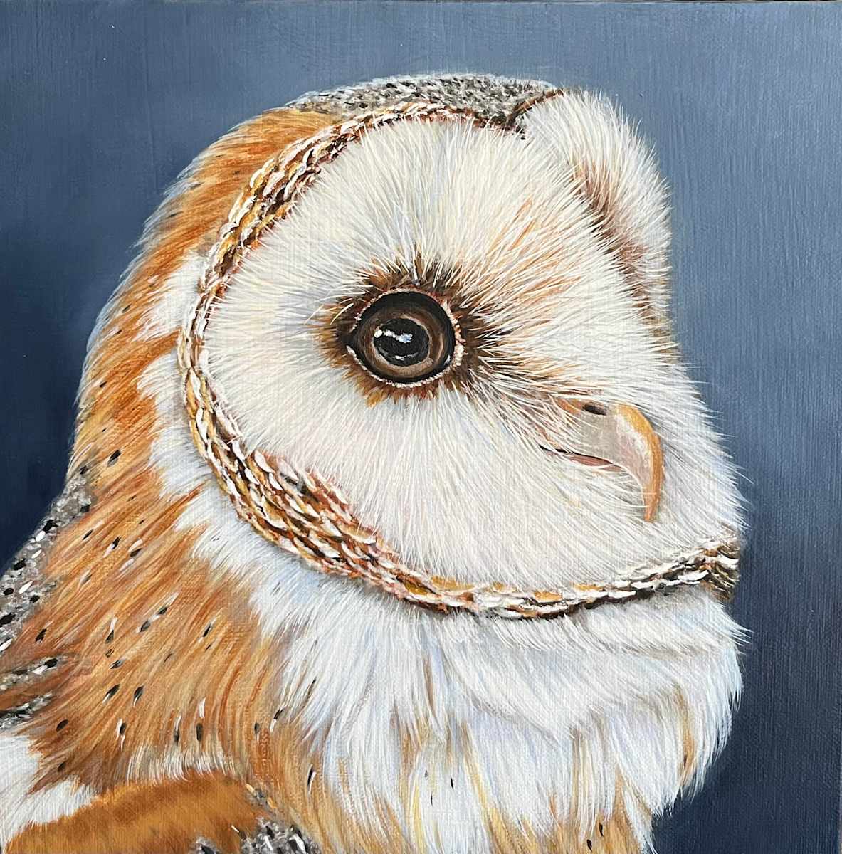 Gilly Wise the Barn Owl by Kendra Stone 