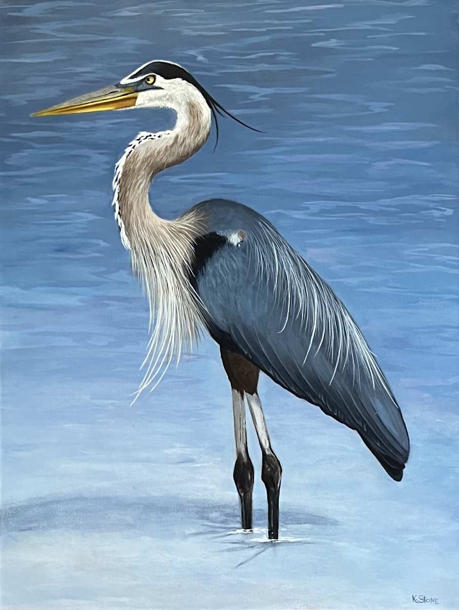Heron in the Shallows by Kendra Stone 