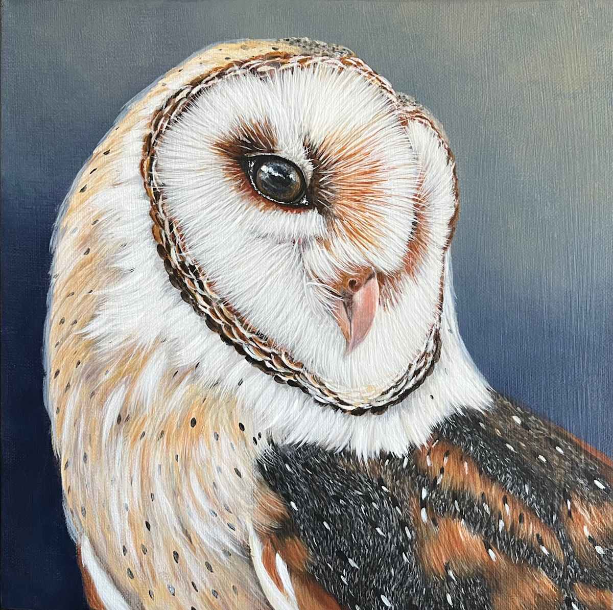 Maggie Howlett the Barn Owl by Kendra Stone 