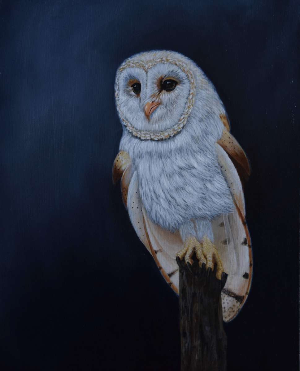 Night Owl by Kendra Stone 