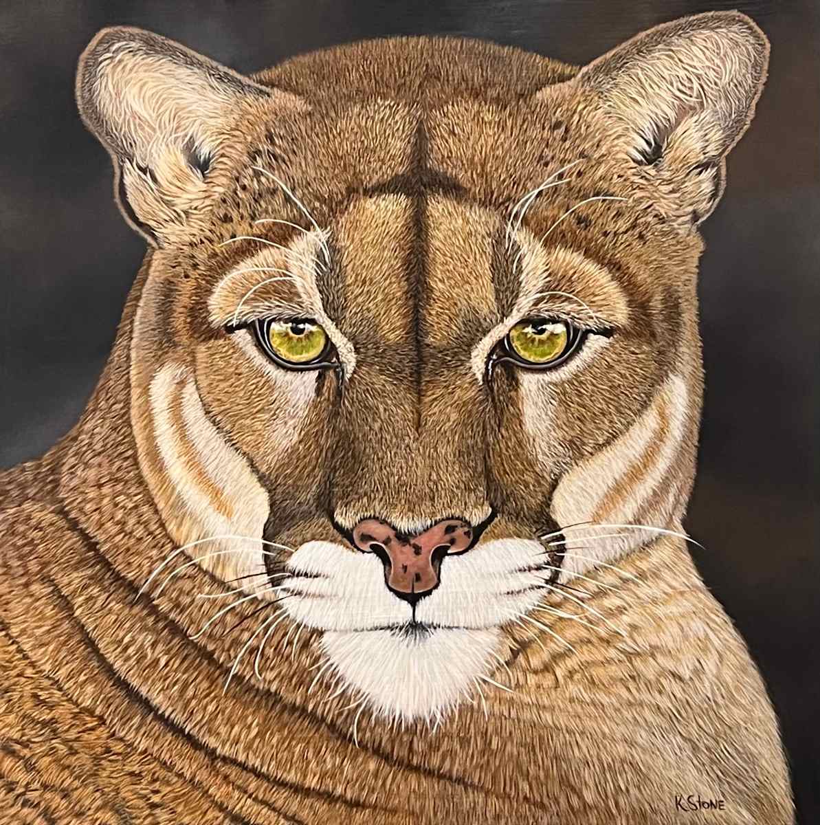 Puma In Repose by Kendra Stone 