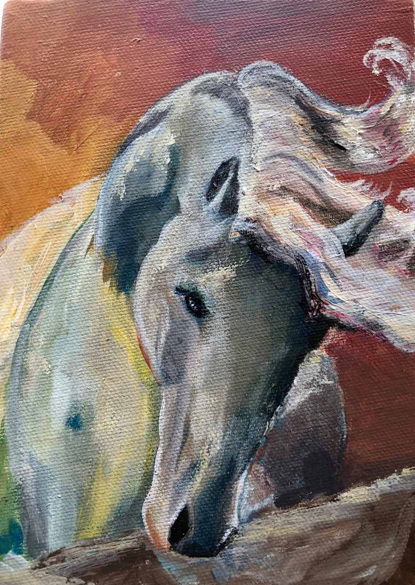 Pablo’s Horse by Arrianne Hoyland, Image 2.