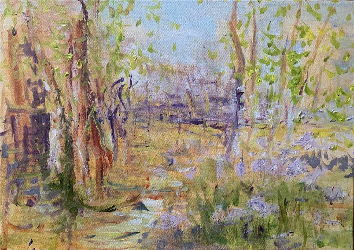 Bluebells 1 by Debbie  Farquharson 