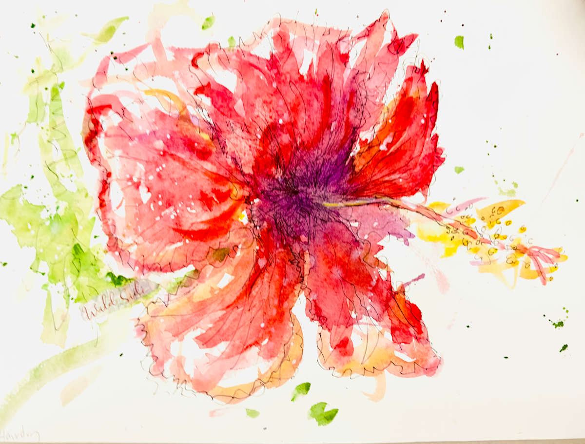 Red Hibiscus by Debbie  Farquharson  Image: Also Available  in Limited edition Giclees Gallery 
