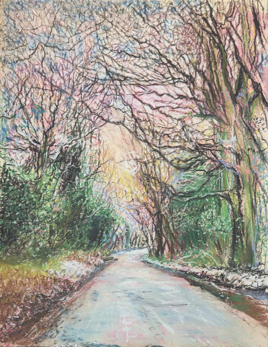 Snowy Trees at dusk along St Julian's Road by Debbie  Farquharson  Image: Framed with white mount with black inlay and black frame 