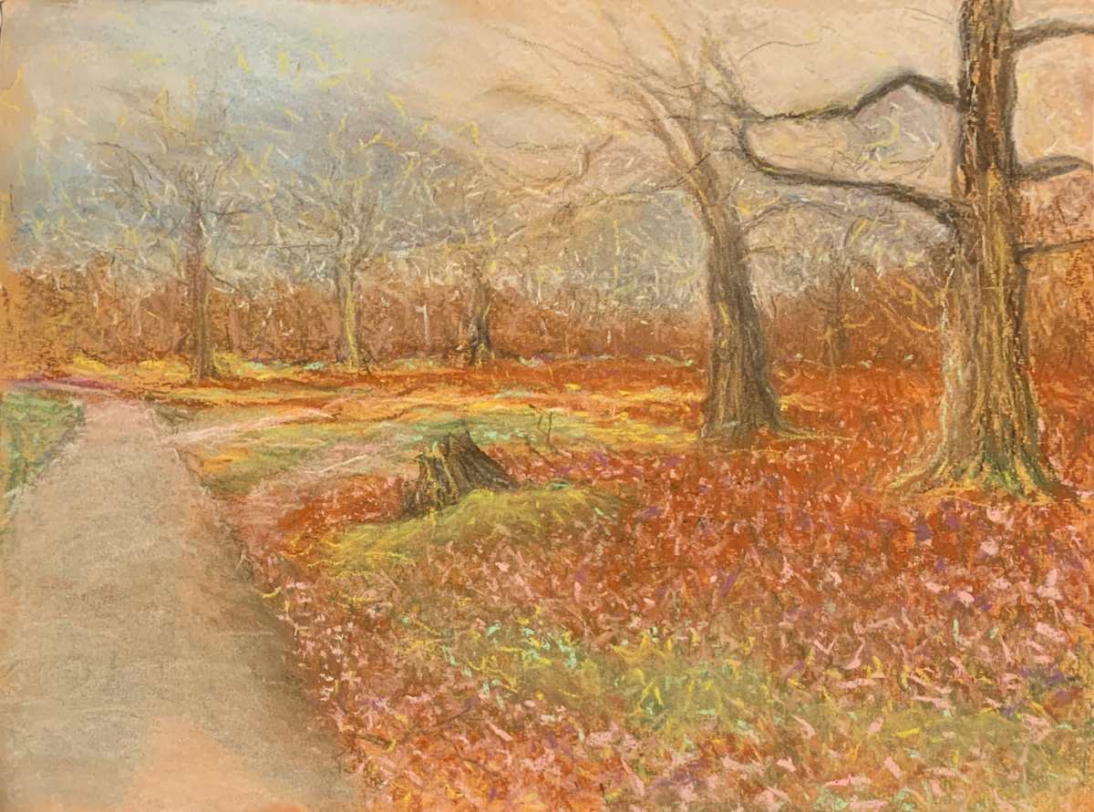 Magical Knole Park Trees 2 by Debbie  Farquharson 