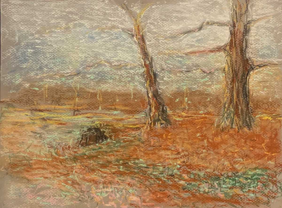 Magical Knole Park Trees 1 by Debbie  Farquharson 