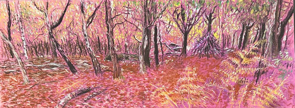 Intensity of Beauty - Knole Park by Debbie  Farquharson 