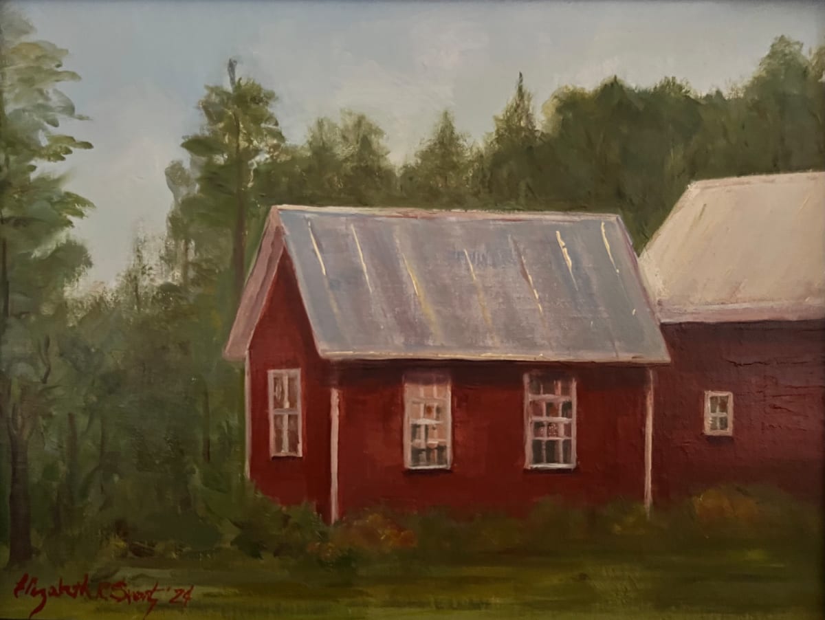 The Little Shed - Waitsfield, Vermont by Elizabeth Ryan Swartz 