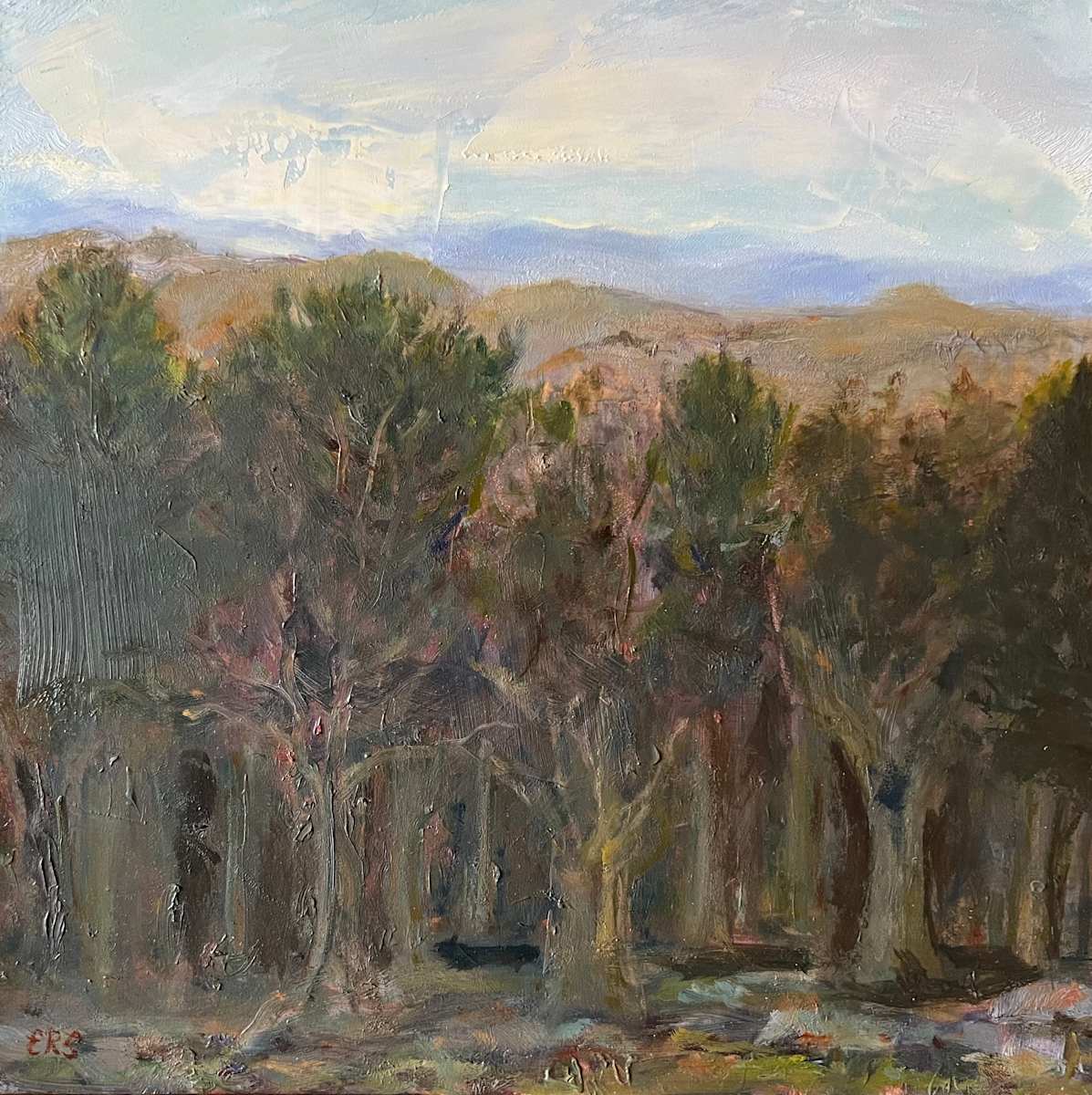 The View from Home by Elizabeth Ryan Swartz 