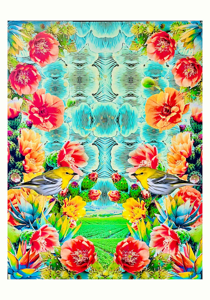 Blooming Birds by Cristina Sayers  Image: Analog collage and acrylic original artwork, frame included-
slim dark brown metal frame.