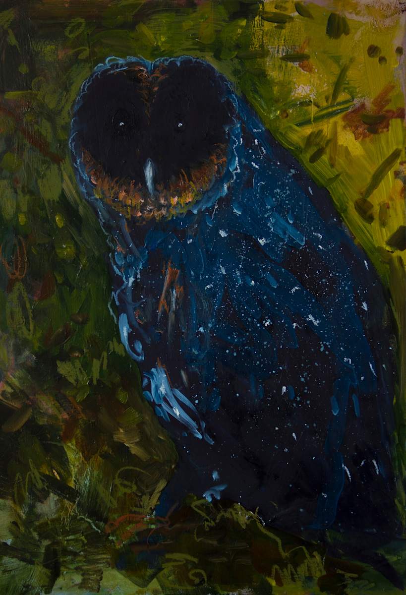 Still 14 by Lorella Paleni, Image 13.
