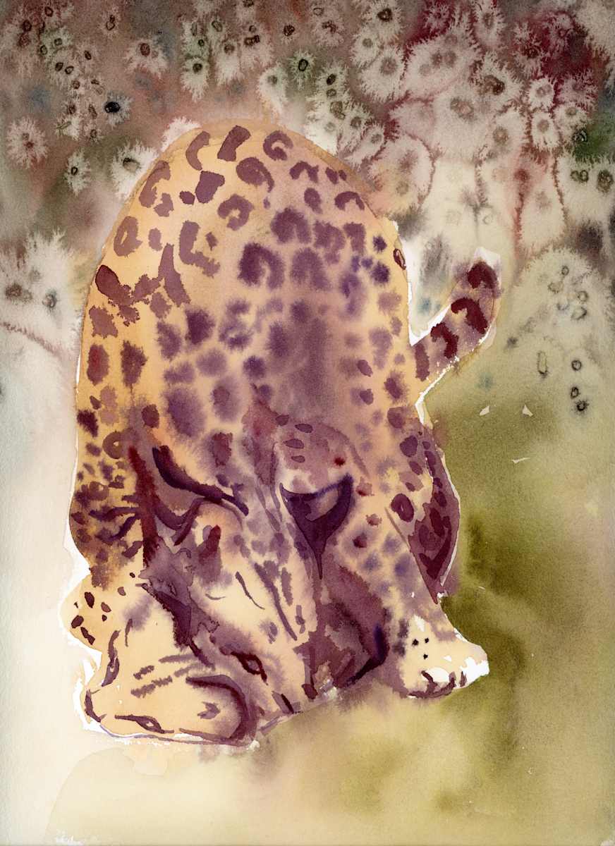 P2203 by Lorella Paleni, Image 7.