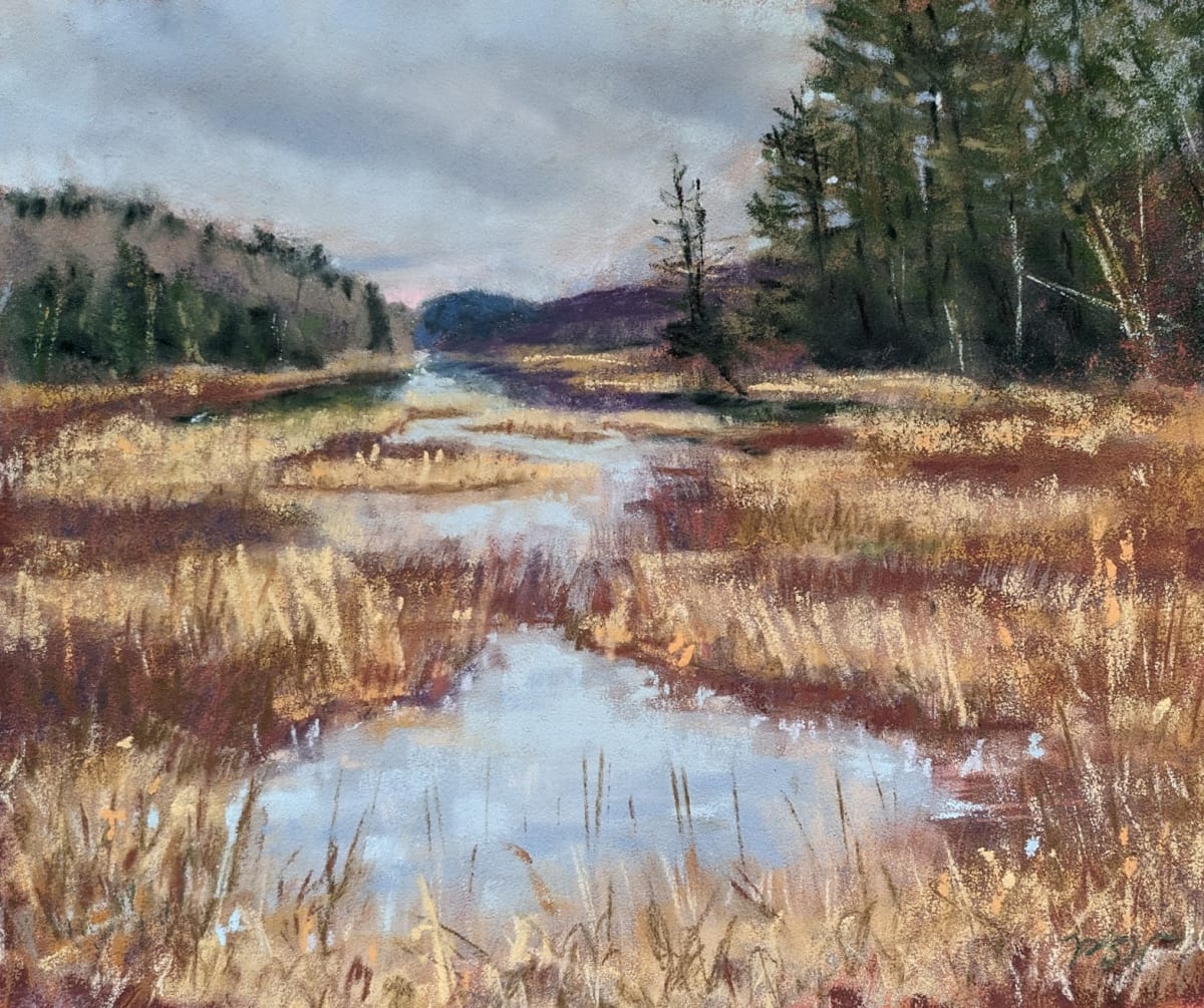 Beaver Marsh at Gerts Knob by Phyllis S. Willey 