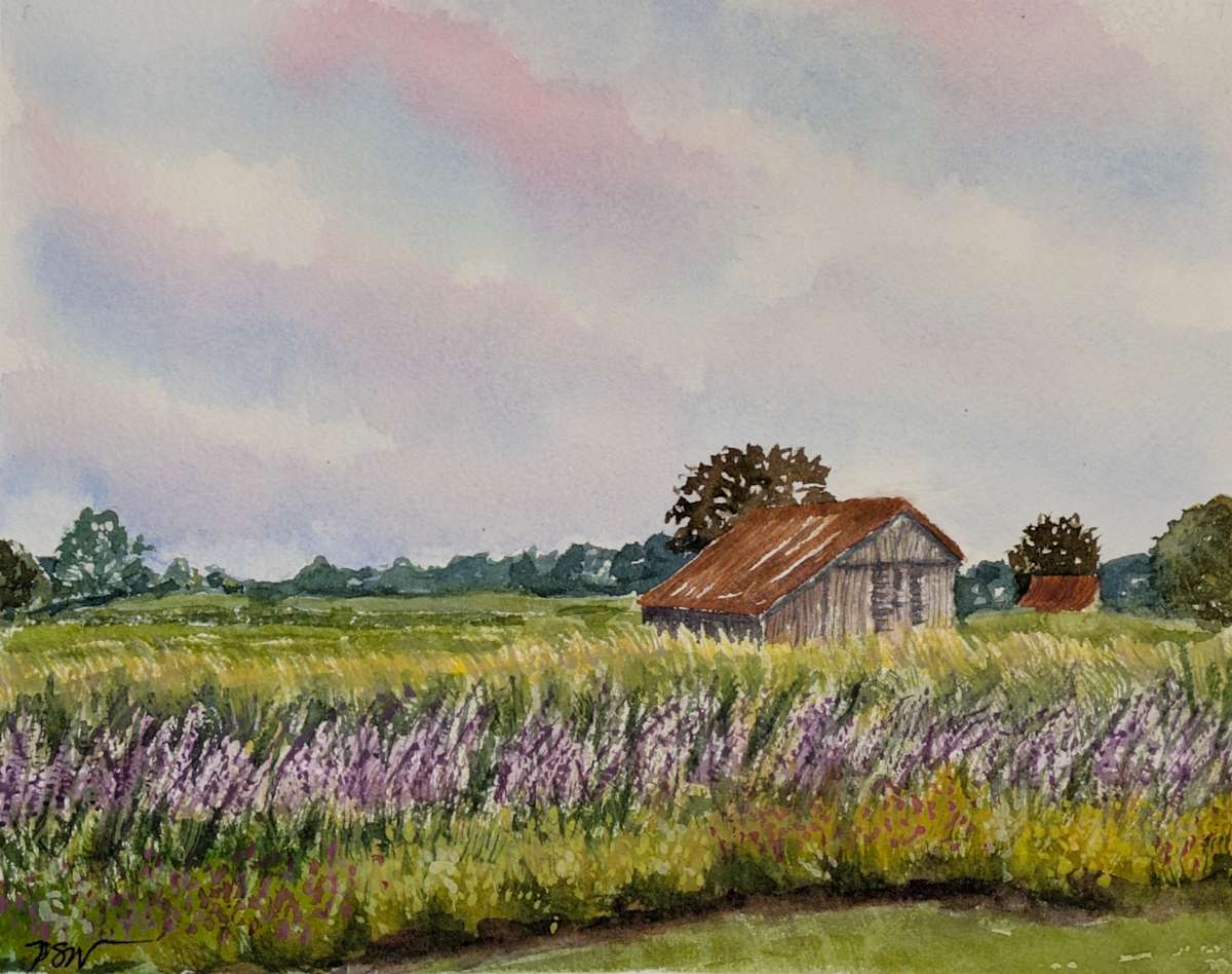 One Fine Day in August by Phyllis S. Willey 