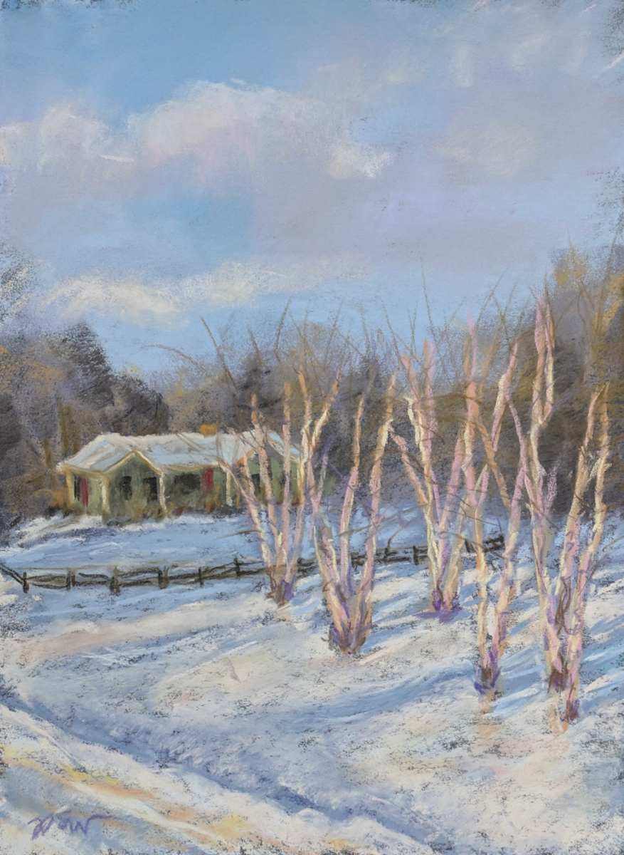 Birches Aglow by Phyllis S. Willey 