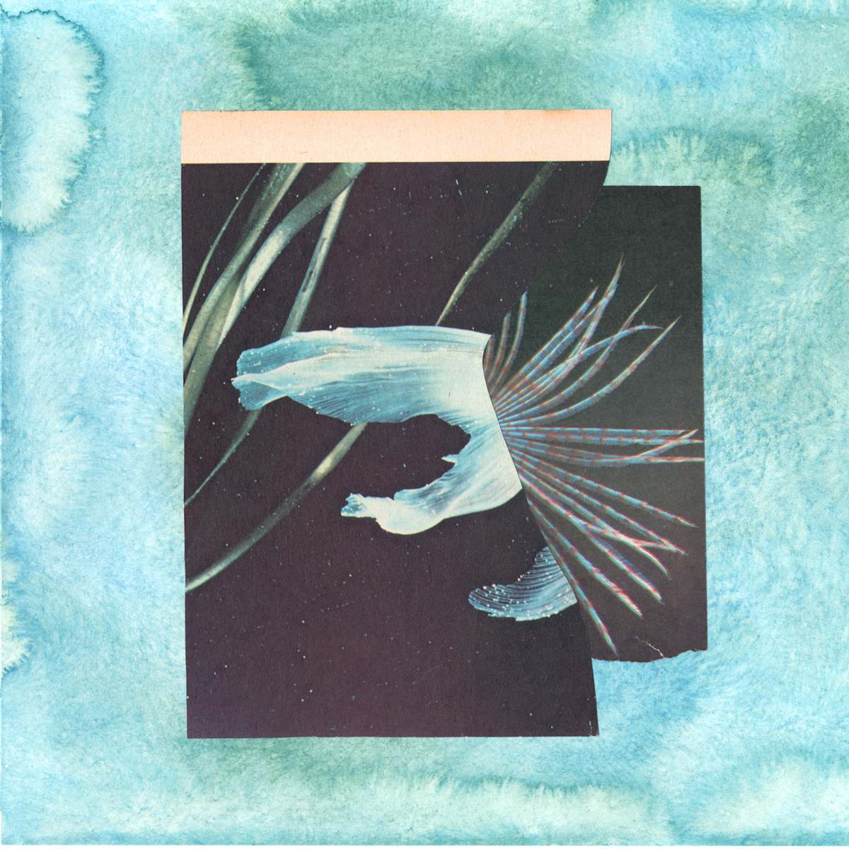 Sun on Water no. 42 by Corrina Ulrich 