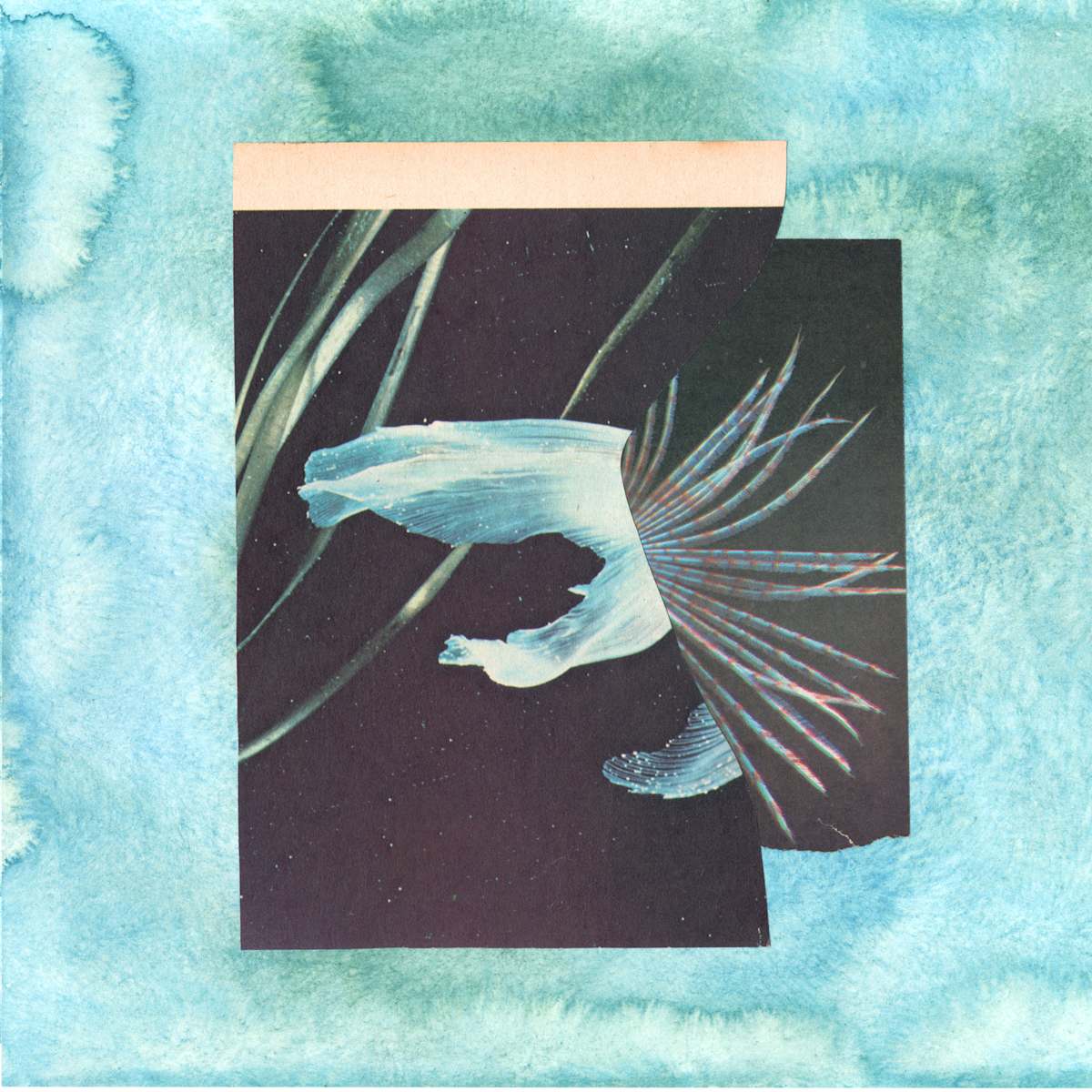 Sun on Water no. 42 by Corrina Ulrich, Image 9.