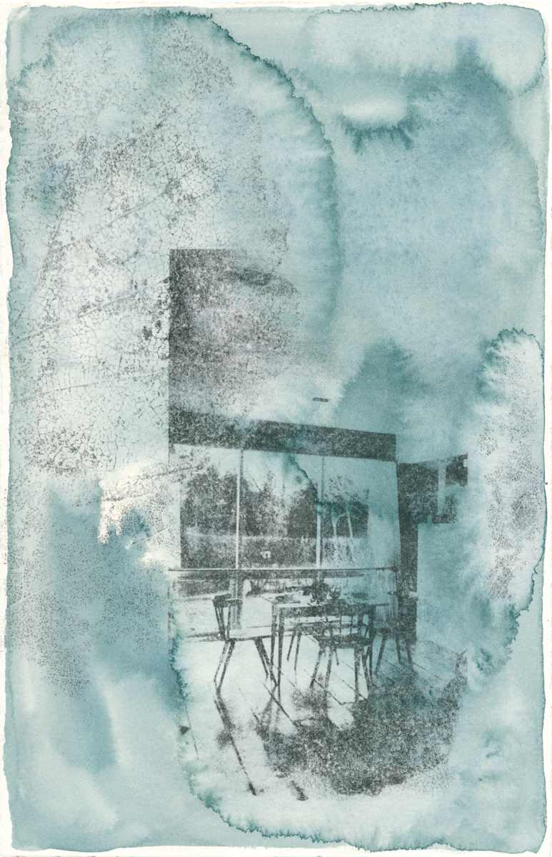 Poplar by Corrina Ulrich 