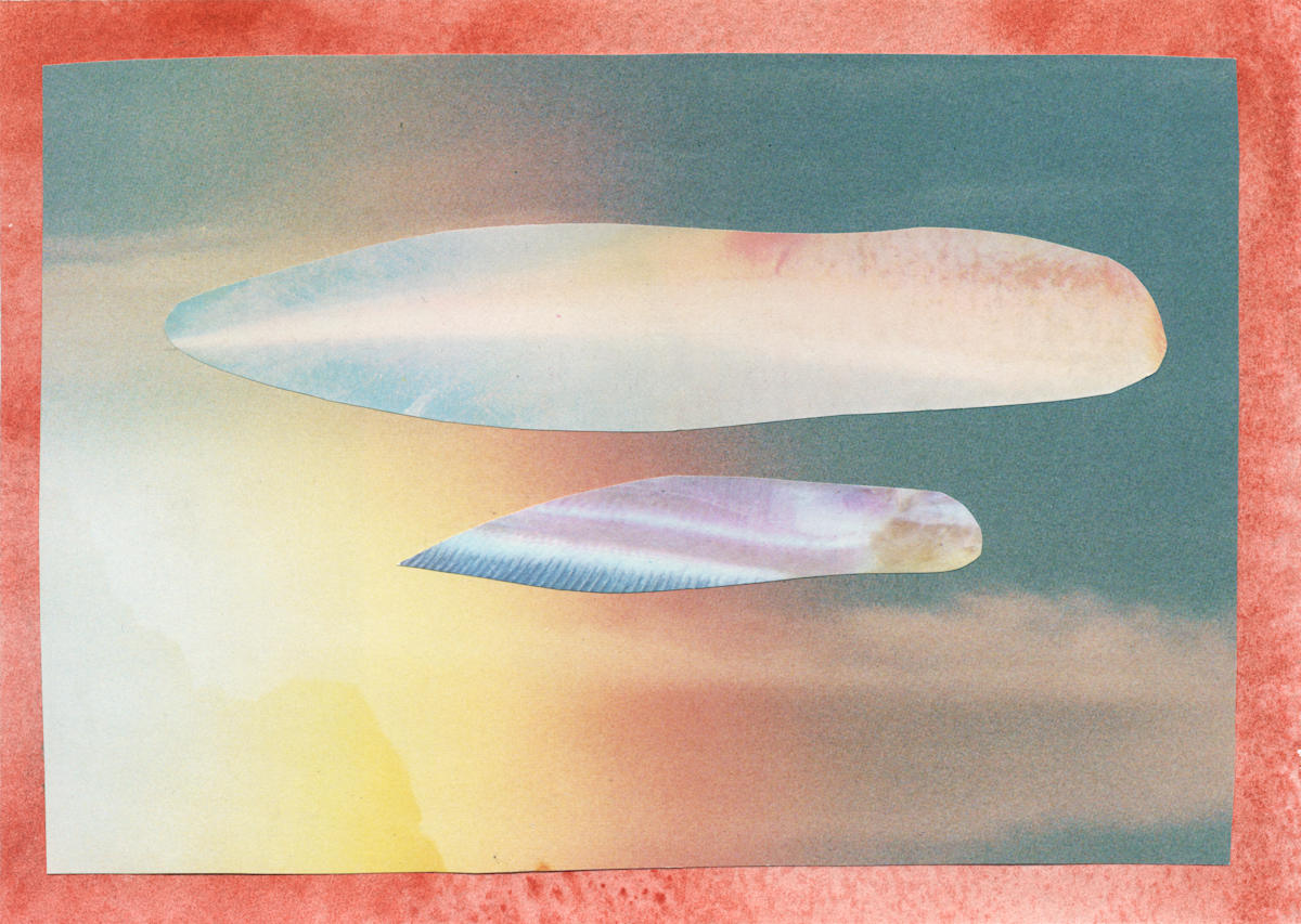 swim by Corrina Ulrich 