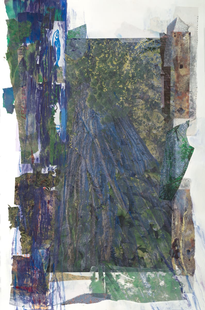 Bluer redwood by Kate Brogdon 
