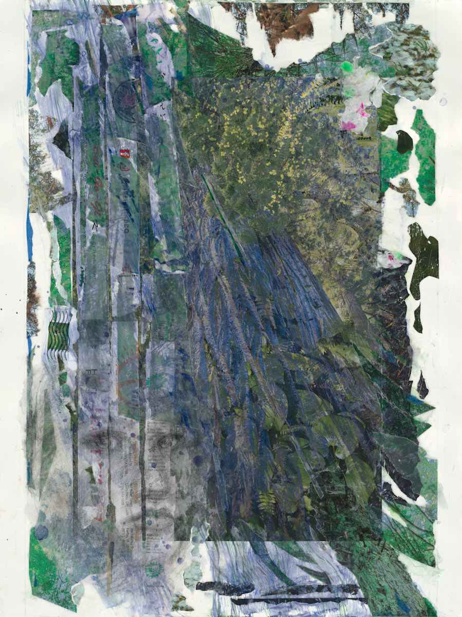 Bluest redwood by Kate Brogdon 