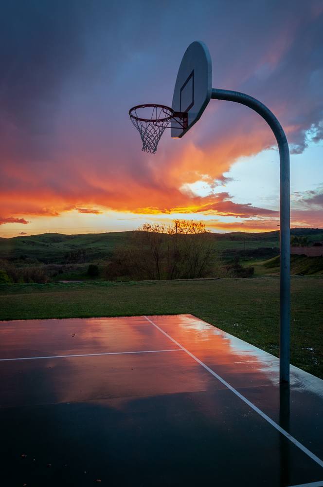 Wet net by Kate Brogdon 