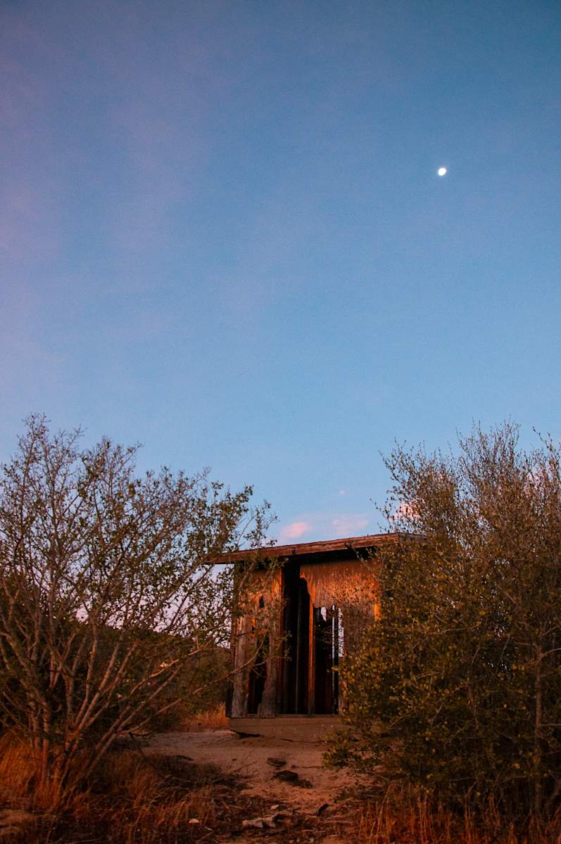 Shack on the hill by Kate Brogdon 