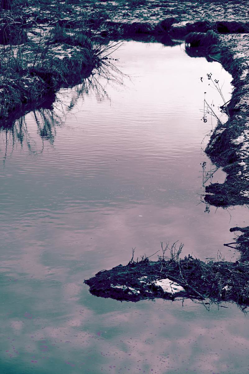 Icy creek by Kate Brogdon 