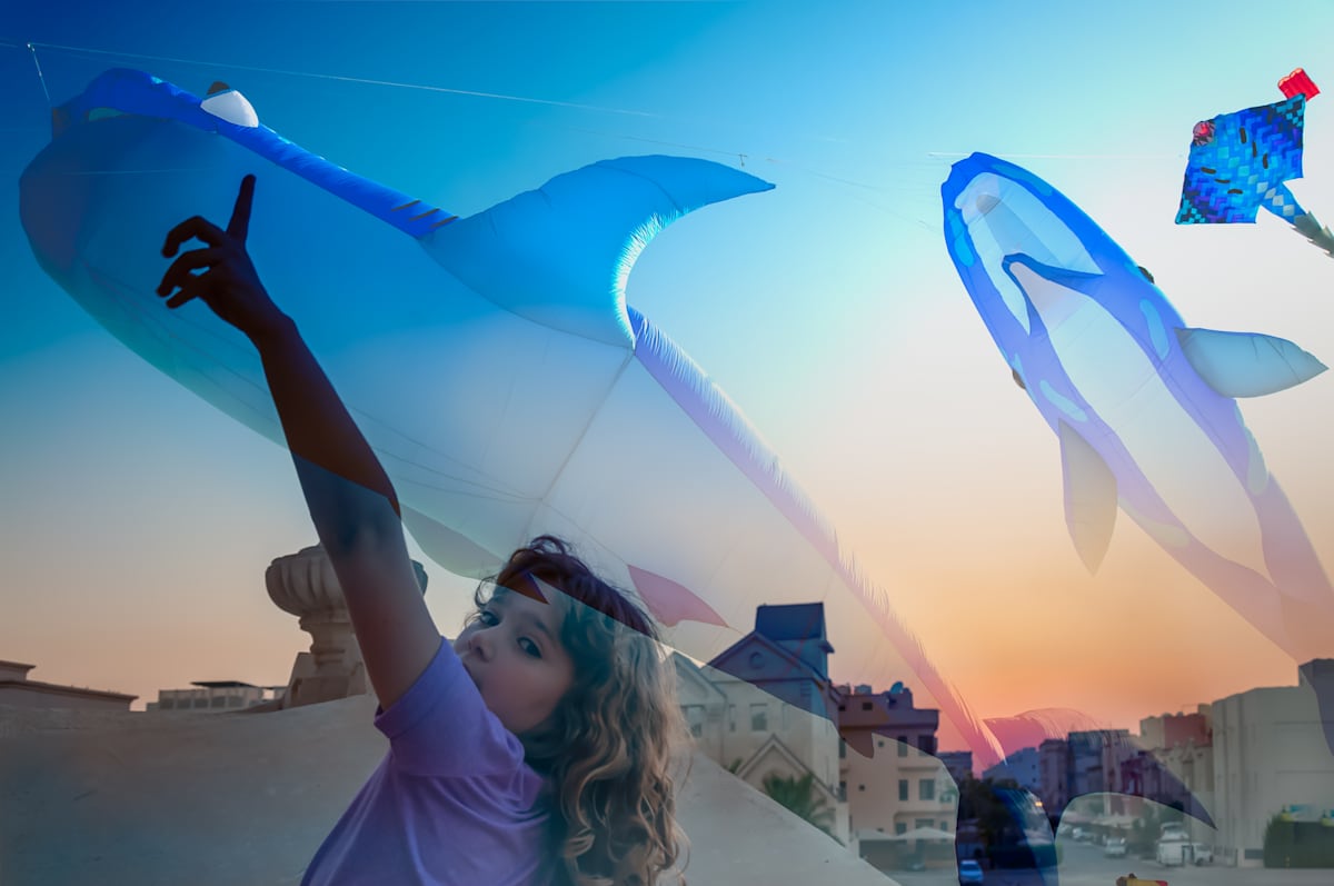 Ily with kite whales by Kate Brogdon 