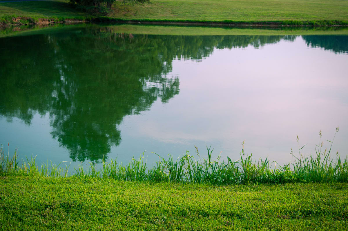 Farm pond by Kate Brogdon 