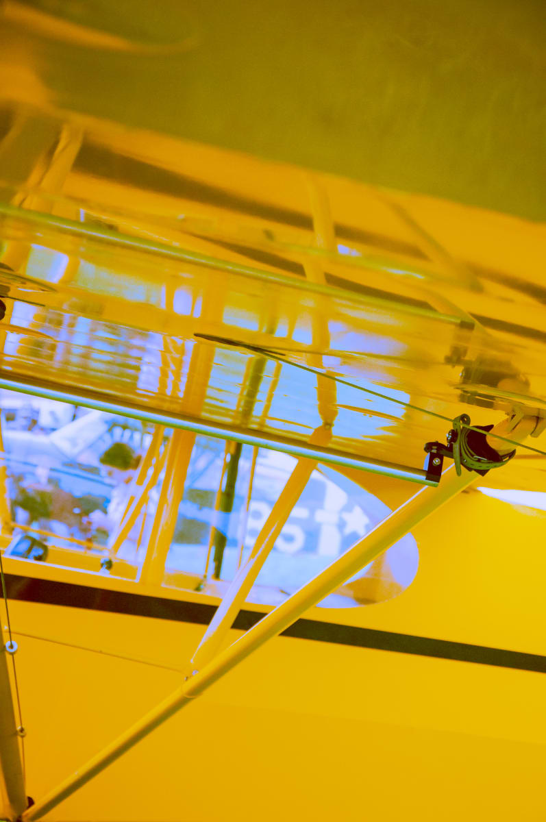 Bright piper cub by Kate Brogdon 