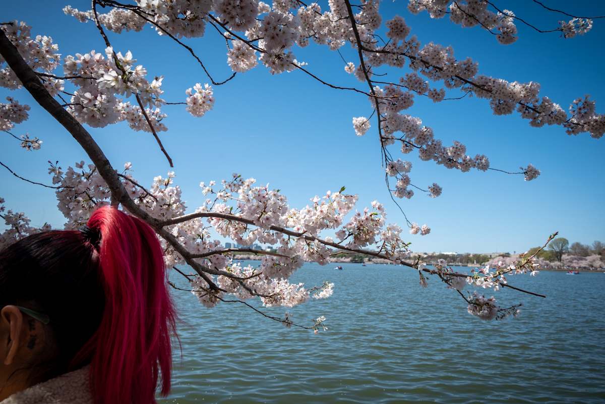 Brightest ponytail by Kate Brogdon 