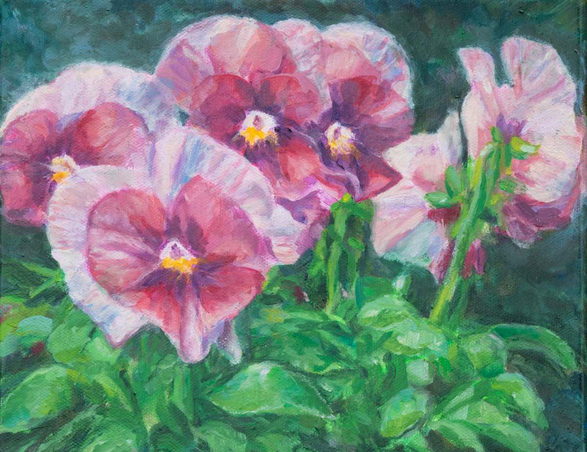 Pansies for Violet by Kate Brogdon, Image 1.