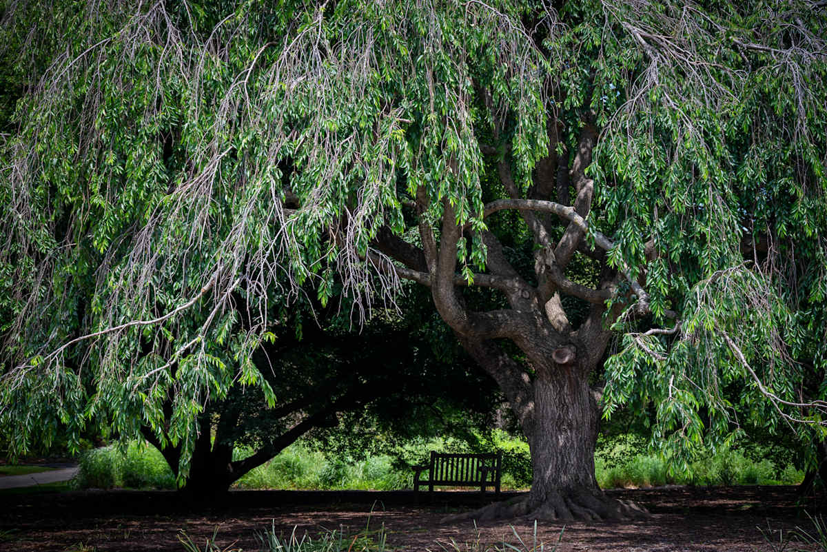 Shelter by Kate Brogdon 