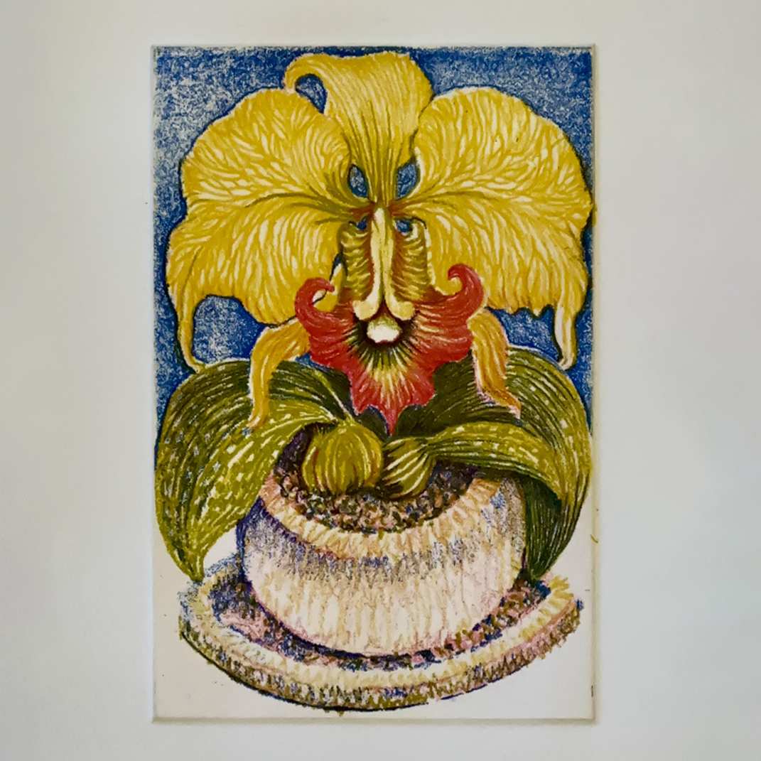 Strange Botany:  Strange Orchid 2/6 by Charles H. Stinson