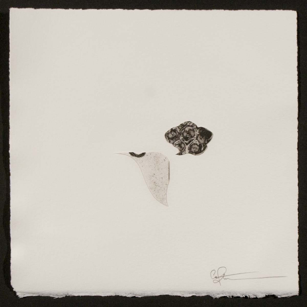 Indeterminance 20121020-1604 by Charles H. Stinson 