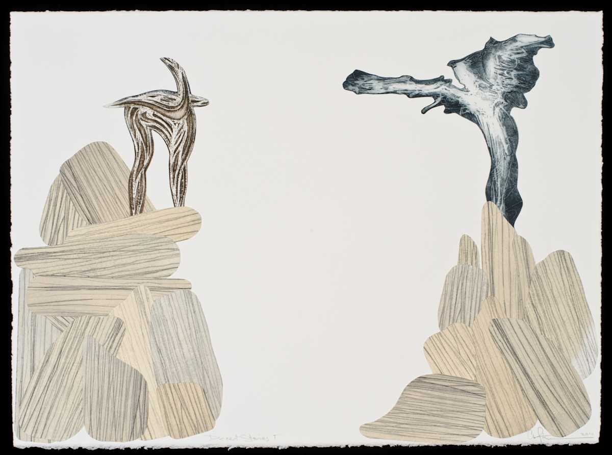 Desert Stories #1 by Charles H. Stinson 