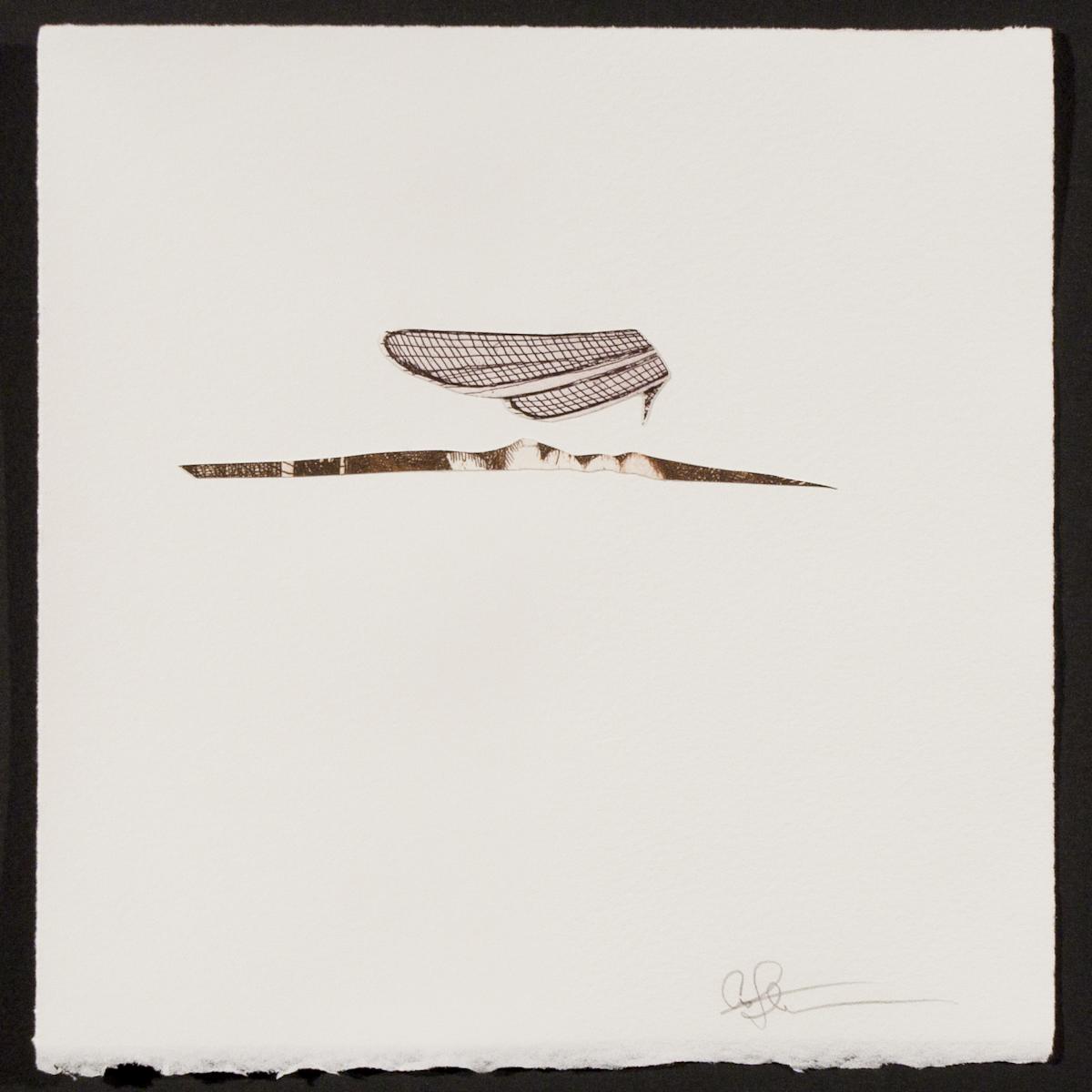 Indeterminance 20121020-1607 by Charles H. Stinson 