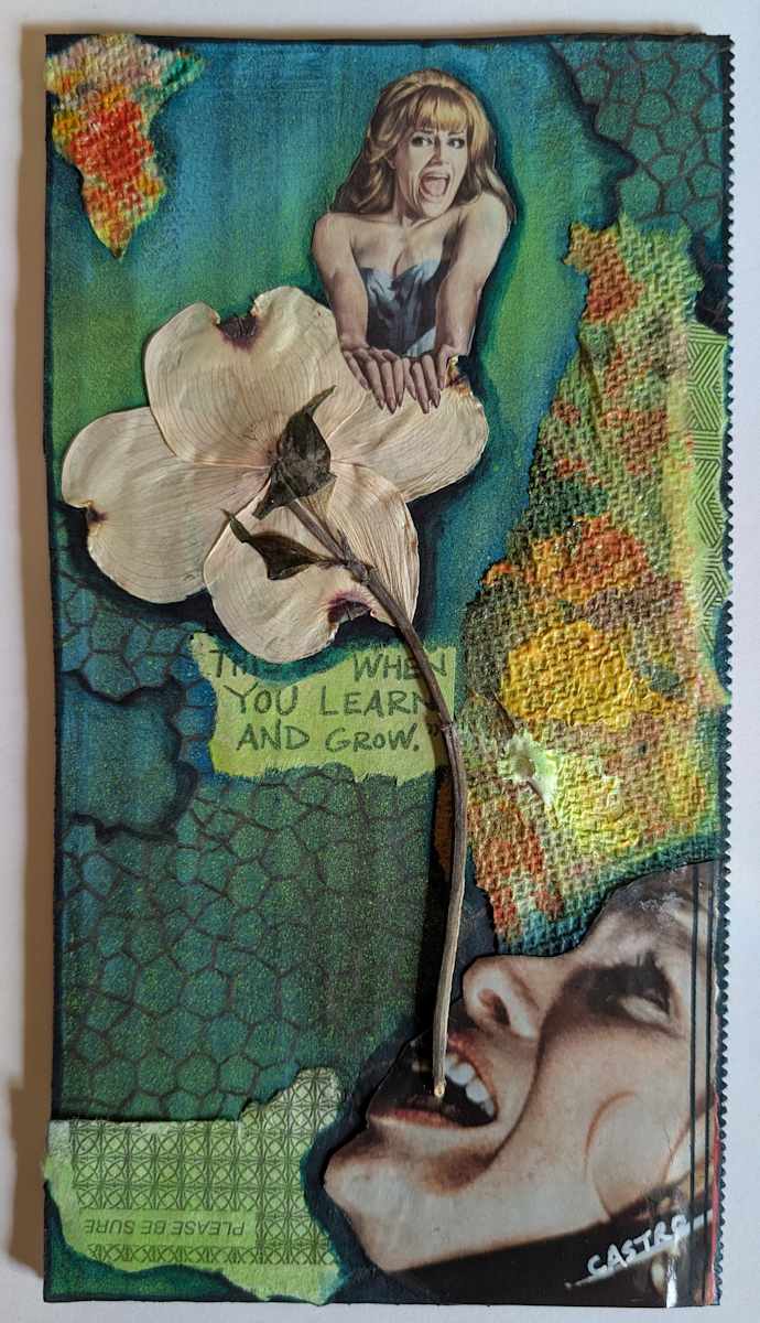 Learn and Grow by Angela Castro, Image 2.
