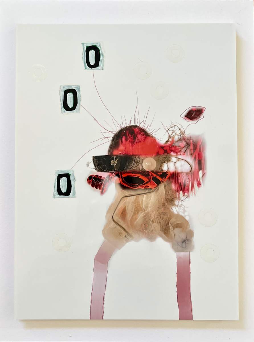 Morpheus Mosquitos #15 by Nicola Barth 