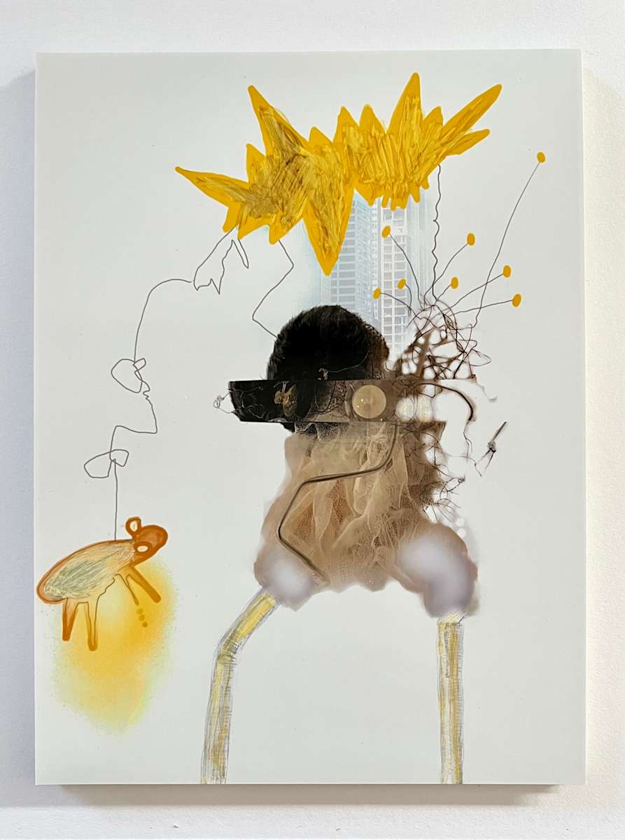 Morpheus Mosquitos #18 by Nicola Barth 
