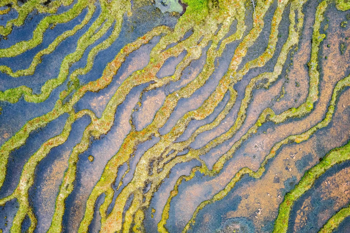 Above // 3 by Dylan James Lockard 