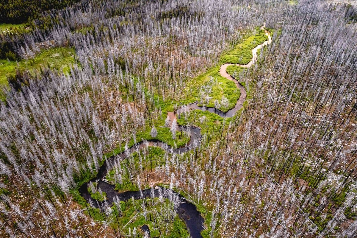 Above // 2 by Dylan James Lockard 