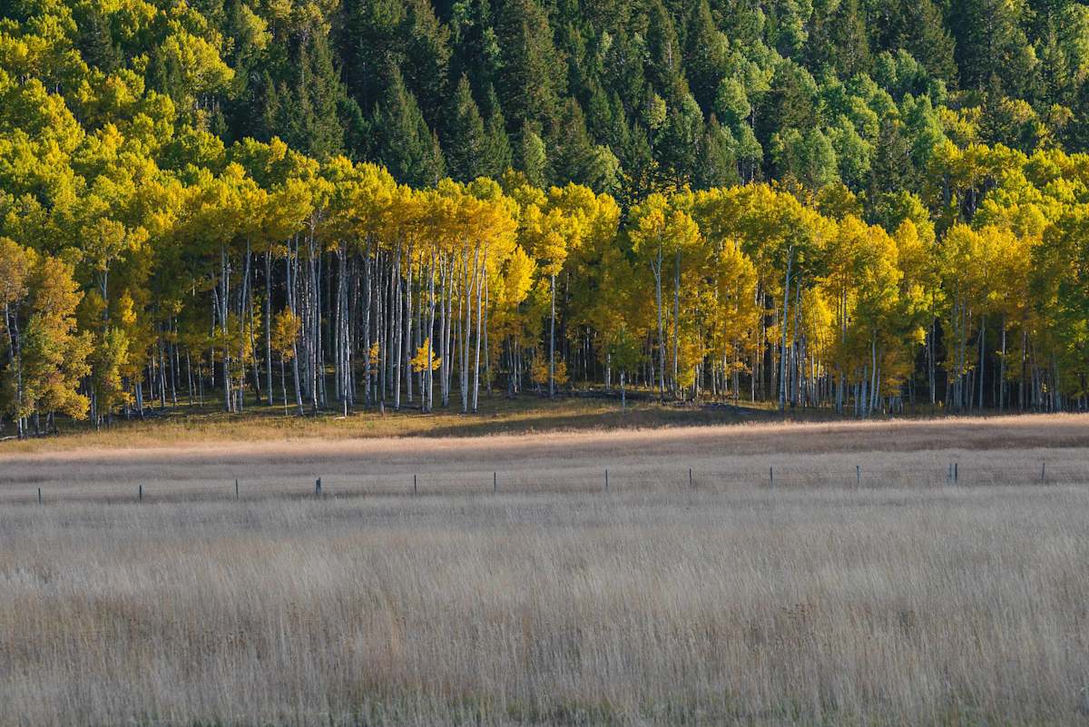 Autumn // 10 by Dylan James Lockard, Image 3.