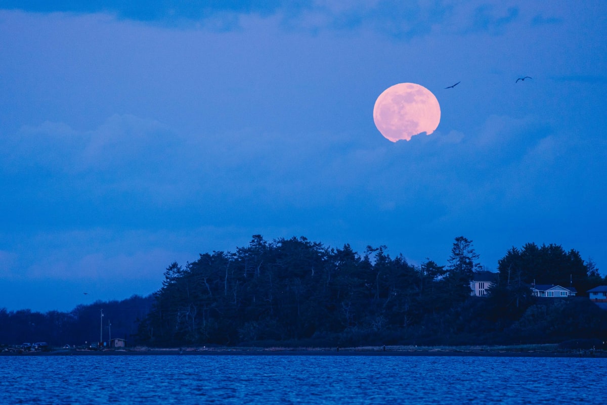 Dusk // 4 by Dylan James Lockard 