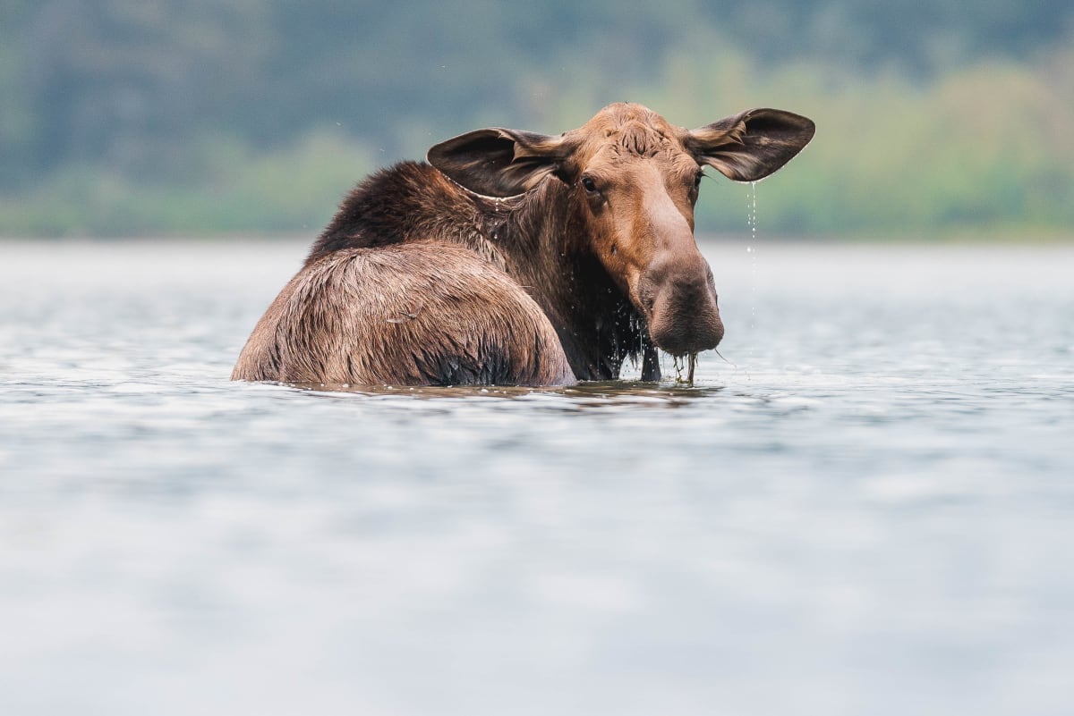 Life // 7 by Dylan James Lockard 