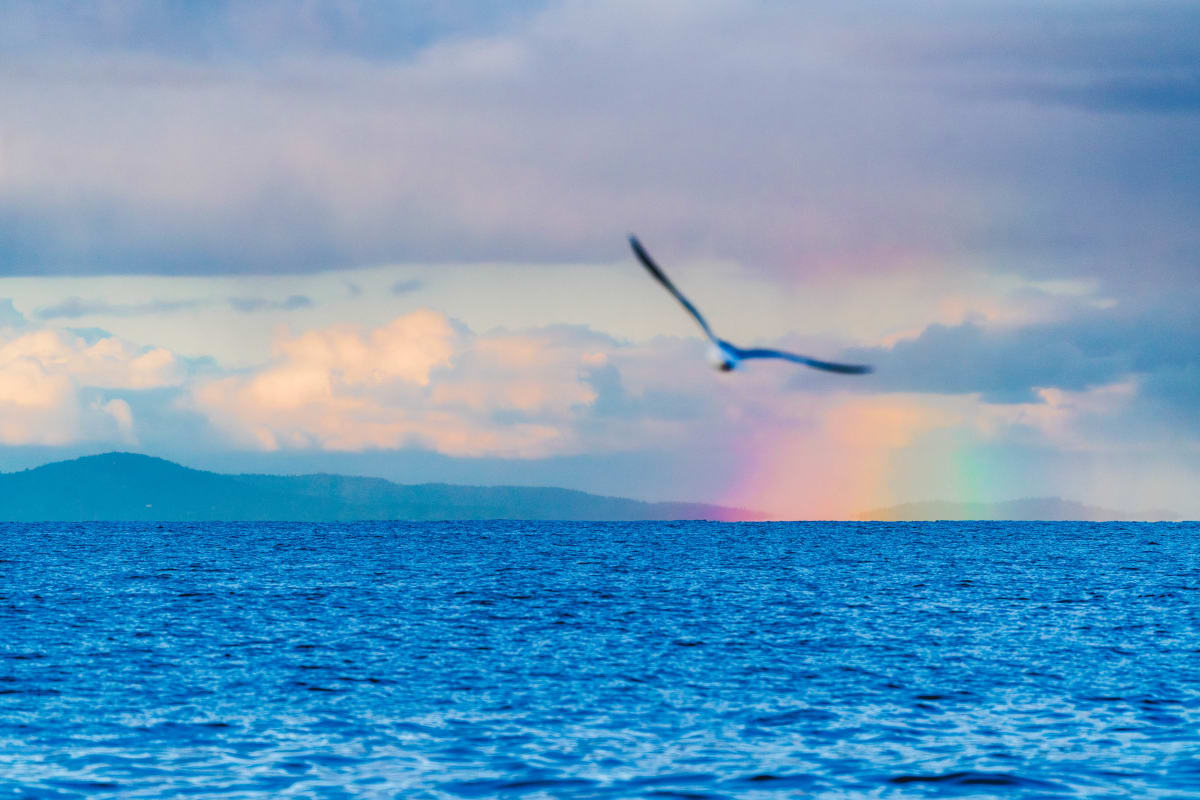 Life // 3 by Dylan James Lockard 